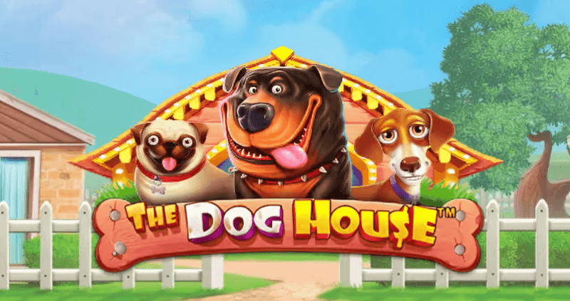 The Dog House